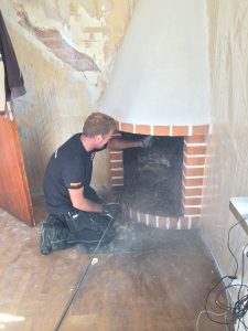 Borttagning av fågelbo